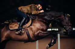 Outlet Tapis de selle Golden Brass - Tapis De Cso|Tapis De Dressage