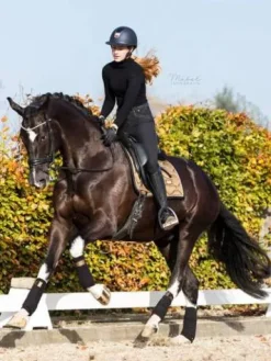 Outlet Tapis de selle Golden Brass - Tapis De Cso|Tapis De Dressage