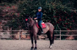 Outlet Tapis de selle Grenadine - Tapis De Cso|Tapis De Selle