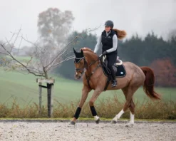 Discount Tapis de selle velvet - - tissu velours Tapis De Dressage|Tapis De Selle