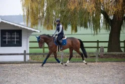 Discount Tapis de selle velvet - - tissu velours Tapis De Dressage|Tapis De Selle