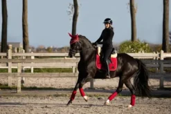 Discount Tapis de selle velvet - - tissu velours Tapis De Dressage|Tapis De Selle