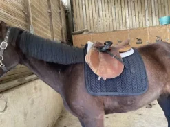 Hot Tapis de selle Kentucky noir pear dressage Tapis De Dressage|Tapis De Selle