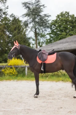 Best Tapis de selle LEO - Tapis De Cso|Tapis De Selle