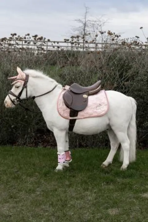 New Tapis de Selle Licorne Pailleté - Mixte - Kentucky Tapis De Selle|Tapis De Selle