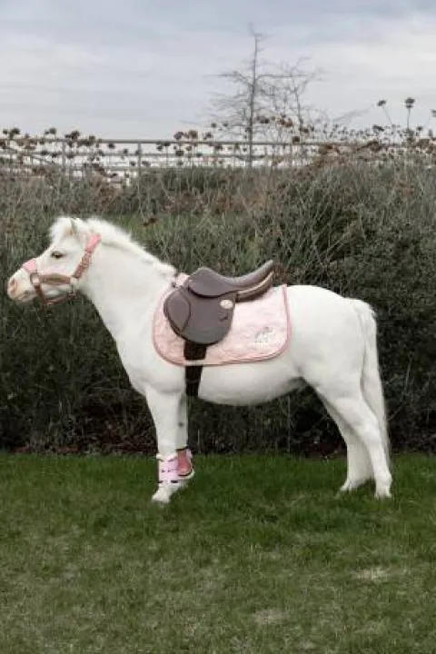 New Tapis de Selle Licorne Pailleté - Mixte - Kentucky Tapis De Selle|Tapis De Selle