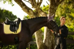 Best Tapis de selle Limoncello - Tapis De Dressage|Tapis De Cso