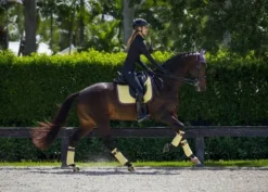 Best Tapis de selle Limoncello - Tapis De Dressage|Tapis De Cso