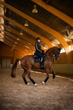 Online Tapis de selle Luminous Black - Tapis De Dressage|Tapis De Selle
