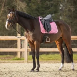 Clearance Tapis de selle Lyvia - - Anatomique Tapis De Cso|Tapis De Selle