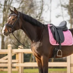 Clearance Tapis de selle Lyvia - - Anatomique Tapis De Cso|Tapis De Selle