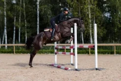 New Tapis de selle Mahogany Glimmer - Tapis De Dressage|Tapis De Selle