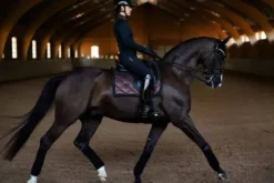 New Tapis de selle Mahogany Glimmer - Tapis De Dressage|Tapis De Selle