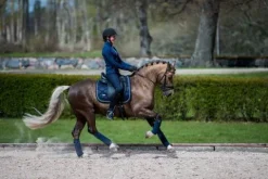 Sale Tapis de selle midnight blue - - tissu déperlant Tapis De Dressage|Tapis De Selle