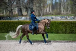 Sale Tapis de selle midnight blue - - tissu déperlant Tapis De Dressage|Tapis De Selle