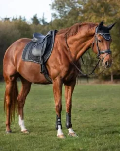 New Tapis de selle mixte KAE Tapis De Cso|Tapis De Selle