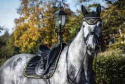 Online Tapis de selle Noir/Or - Tapis De Dressage|Tapis De Cso