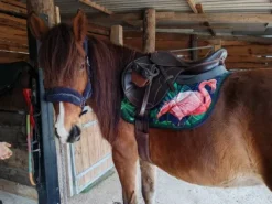 Tapis de selle original motif flamand rose Tapis De Selle|Tapis De Selle