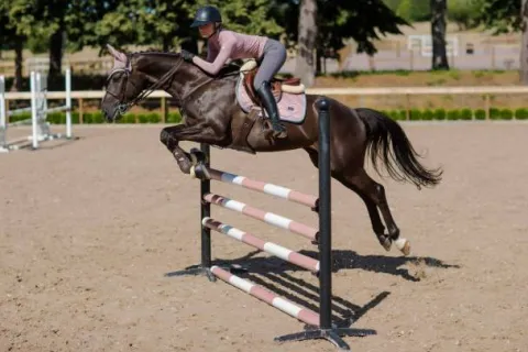 Tapis de selle Pink Crystal - Tapis De Dressage|Tapis De Selle