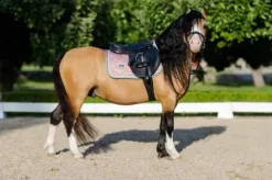 Tapis de selle Pink Crystal - Tapis De Dressage|Tapis De Selle