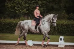 New Tapis de selle pink pearl dressage - - tissu déperlant Tapis De Dressage|Tapis De Selle