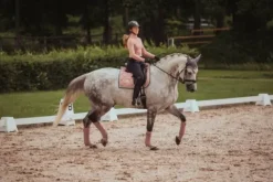 New Tapis de selle pink pearl dressage - - tissu déperlant Tapis De Dressage|Tapis De Selle