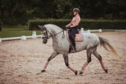 New Tapis de selle pink pearl dressage - - tissu déperlant Tapis De Dressage|Tapis De Selle