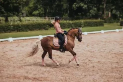 New Tapis de selle pink pearl dressage - - tissu déperlant Tapis De Dressage|Tapis De Selle