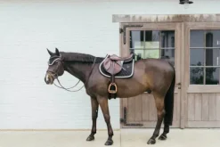 Discount Tapis de selle Plaited Cord - Kentucky Tapis De Cso|Tapis De Selle