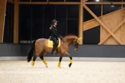 Discount Tapis de selle Pro Soft MIXTE PLATINUM 2025 - Tapis De Cso|Tapis De Selle