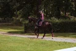 Sale Tapis de selle Purple White Edge - Tapis De Dressage|Tapis De Selle