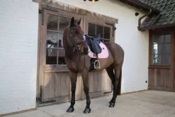 Sale Tapis de selle Sammy Collection DRESSAGE - Kentucky Tapis De Dressage|Tapis De Selle