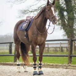 Outlet Tapis de selle Sensisoft - - Doublure en fausse fourrure Tapis De Cso|Tapis De Dressage