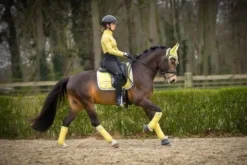 Hot Tapis de selle Soft Lemon - Tapis De Dressage|Tapis De Selle