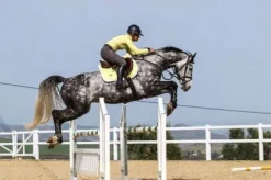 Hot Tapis de selle Soft Lemon - Tapis De Dressage|Tapis De Selle