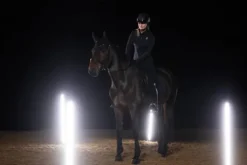 Discount Tapis de selle Sparkle Crystal DRESSAGE Dynamic 2025 - Tapis De Dressage|Tapis De Selle