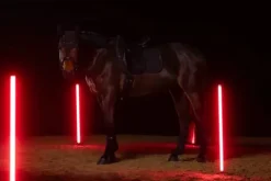 Discount Tapis de selle Sparkle Crystal DRESSAGE Dynamic 2025 - Tapis De Dressage|Tapis De Selle