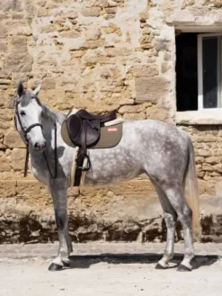 Hot Tapis de selle spécial édition 10 ans - - Matelassage en V Tapis De Cso|Tapis De Selle