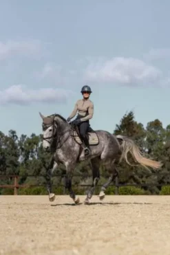 Tapis de selle Sportive Chantelle - Tapis De Dressage|Tapis De Selle