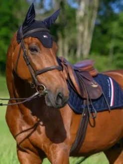 Sale Tapis de selle Stanford MIXTE - Tapis De Cso|Tapis De Selle