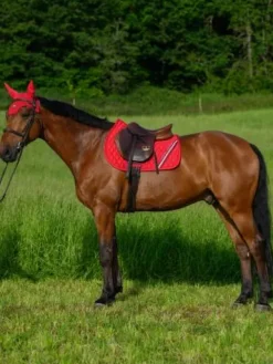 Sale Tapis de selle Stanford MIXTE - Tapis De Cso|Tapis De Selle