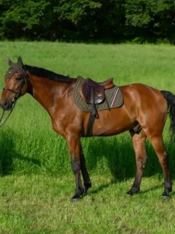 Sale Tapis de selle Stanford MIXTE - Tapis De Cso|Tapis De Selle