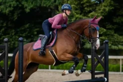 Online Tapis de selle Timeless - Tapis De Dressage|Tapis De Selle