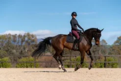 Outlet Tapis de selle Total Eclipse - Tapis De Dressage|Tapis De Selle