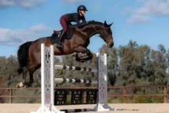 Outlet Tapis de selle Total Eclipse - Tapis De Dressage|Tapis De Selle