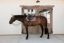 Online Tapis de selle Velvet - Kentucky - Tissu velours Tapis De Cso|Tapis De Selle