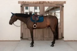 Clearance Tapis de selle Velvet Mini Perles - Kentucky - Velours luxueux Tapis De Cso|Tapis De Selle