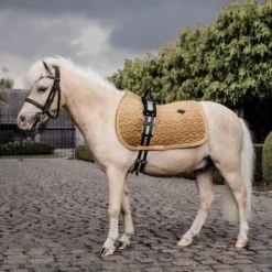 Sale Tapis de selle Velvet obstacle - Kentucky Tapis De Cso|Tapis De Selle