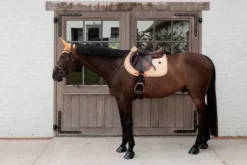 Tapis de Selle Velvet printing - Kentucky - Velours emblématique Tapis De Selle|Tapis De Selle