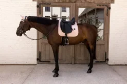 Sale Tapis de selle Velvet Rose pale DRESSAGE - Kentucky Tapis De Dressage|Tapis De Selle